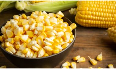 Industri Rumahan Jagung Pipil